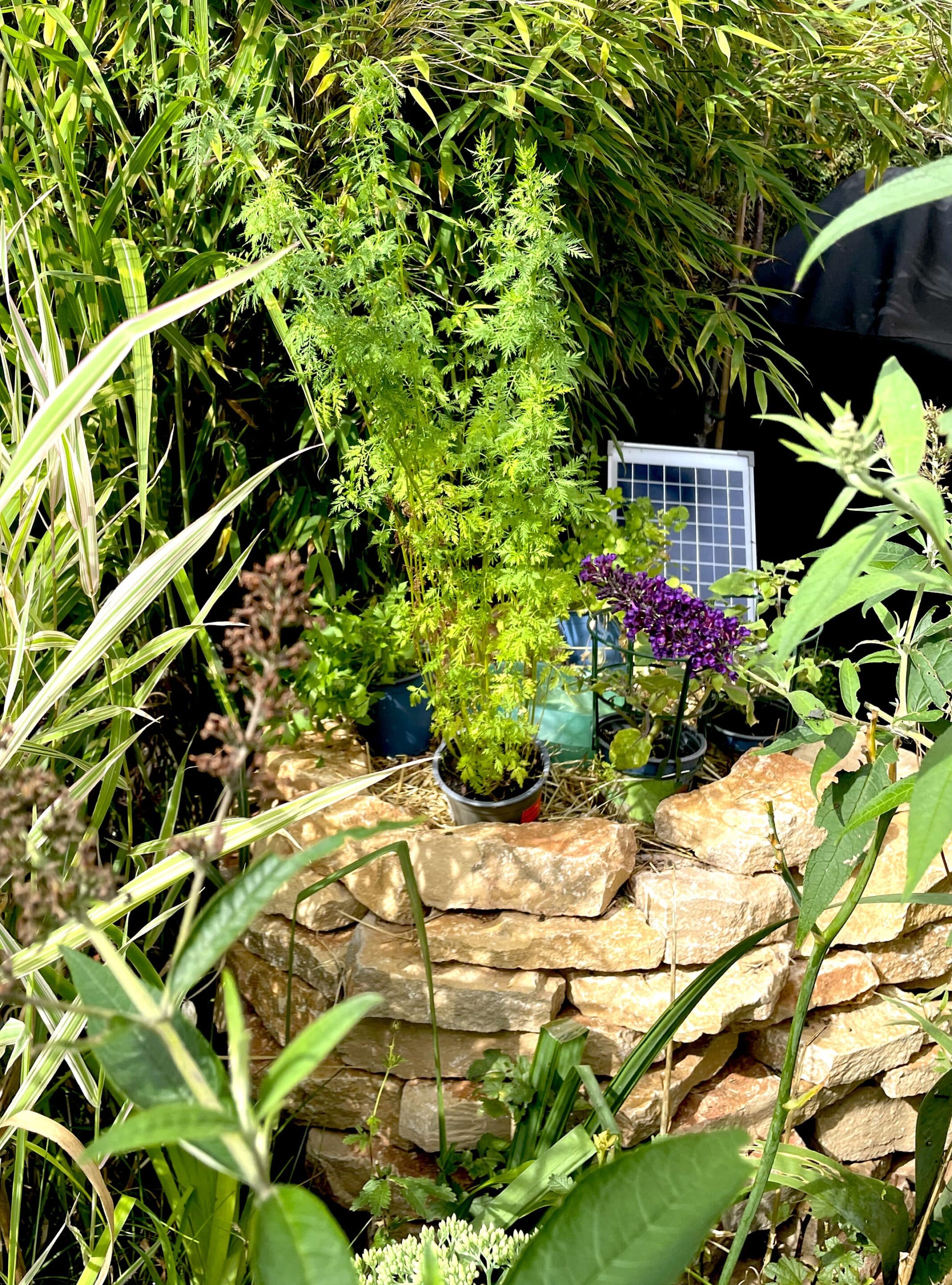 Keyhole Garden in klein mit Bepflanzung 